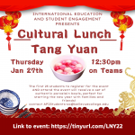 Lunar New Year - Bowl of Tang Yuan
